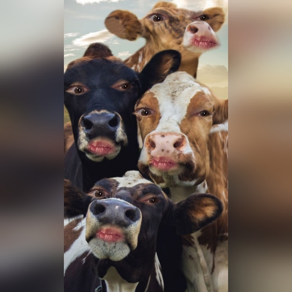 Dooney and Bourke wallet - Picture 10 of 10